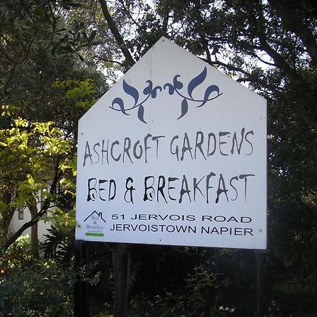 Ashcroft Gardens Bed & Breakfast Napier Kültér fotó